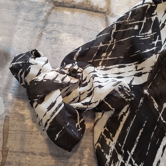 Reitmans sheer top.  Sz Xs - Picture 5 of 5